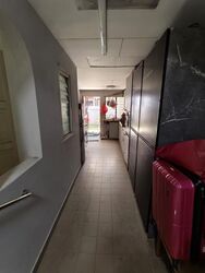 Serangoon Garden Estate (D19), Semi-Detached #514543891